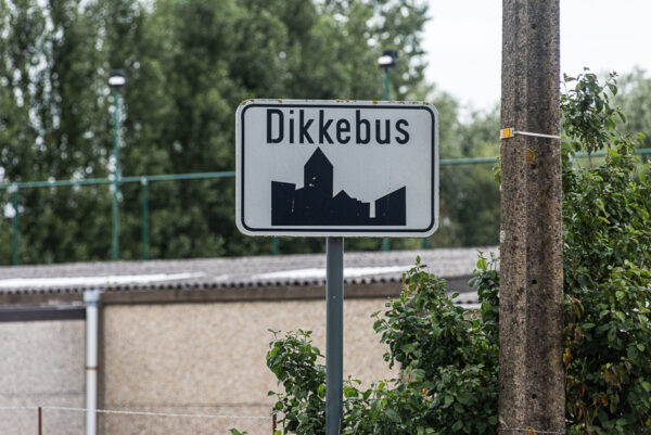 dikkebus-juniores-100
